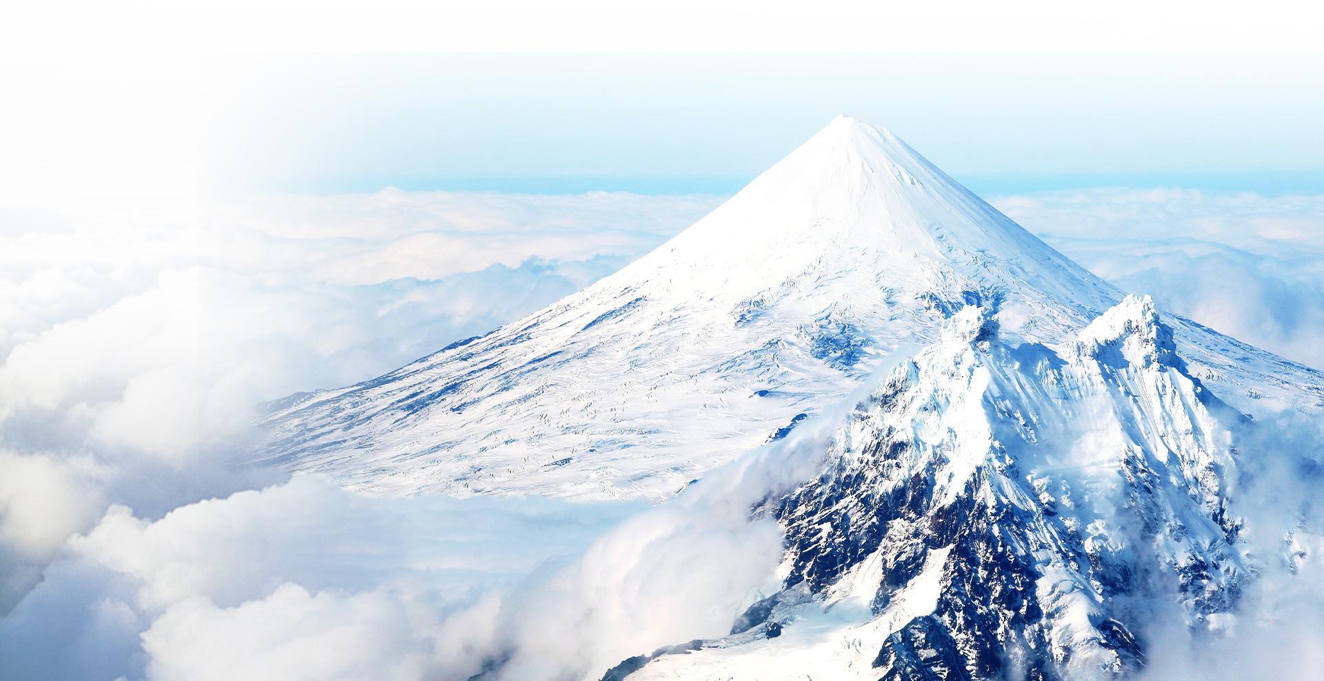 �й���yl23411(����)���Ź���-Officialwebsite